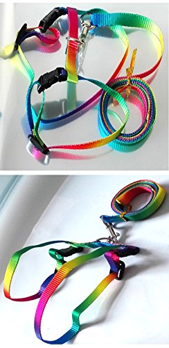 Rabbit Harness Lead Leash Soft Nylon, Adorable Colorful Rainbow Adjustable Harness Collar, Outdoor Walking Buckle Leash