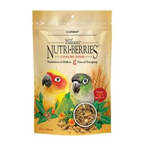 lafeber's classic nutri-berries conure food, made with non-gmo and human-grade ingredients, for conures (classic 10 oz)