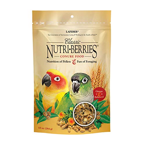 LAFEBER'S Classic Nutri-Berries Conure Food, Made with Non-GMO and Human-Grade Ingredients, for Conures (Classic 10 oz)