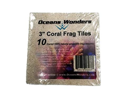 Oceans Wonders XXL 3" Coral Frag Tiles 10pc