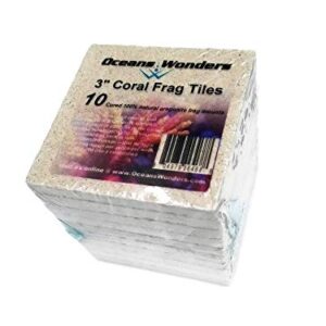 Oceans Wonders XXL 3" Coral Frag Tiles 10pc