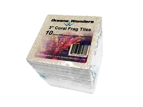 Oceans Wonders XXL 3" Coral Frag Tiles 10pc