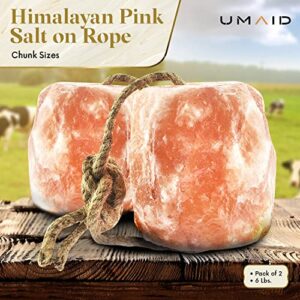 UMAID Himalayan Salt Lick 6 lbs On Rope for Horse, Deer, Goat, and Livestock Animals - Himalayan Salt Block 2 Pack