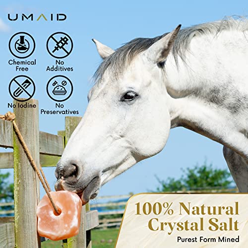 UMAID Himalayan Salt Lick 6 lbs On Rope for Horse, Deer, Goat, and Livestock Animals - Himalayan Salt Block 2 Pack