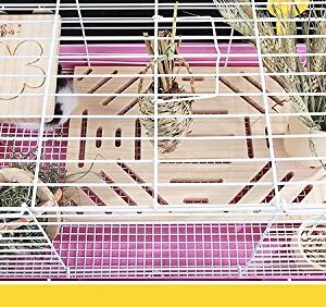 Hypeety Rabbit Wood Foot Pad Toy Small Animals Bunny Chinchilla Guinea Pig Rabbit Totoro Scratch Cage Supplies Safe Non-Toxic Pine Wood Board Chew Toy Mat Bed