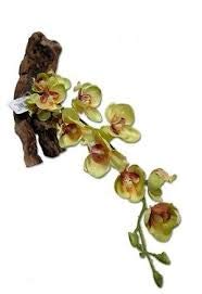 magnaturals 16" yellow orchid pet-tekk magnetic reptile plant