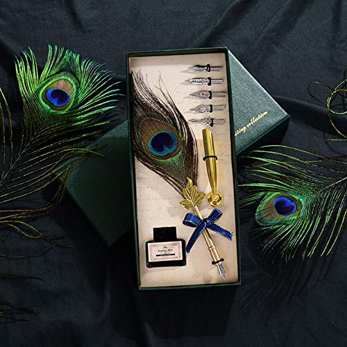 Quill Pen Ink Set-Vintage Peacock Feather Pen with Holder,5pc Metal Pen Nib Writing Calligraphy Pen Holiday Gift