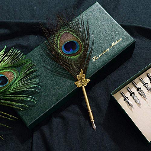 Quill Pen Ink Set-Vintage Peacock Feather Pen with Holder,5pc Metal Pen Nib Writing Calligraphy Pen Holiday Gift