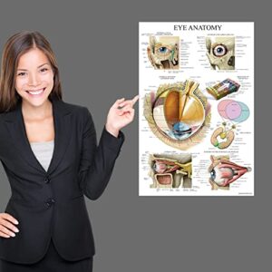 Palace Learning LAMINATED Eye Anatomical Poster - Human Eye Anatomy Chart - 18" x 24"