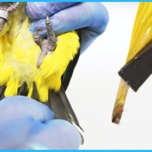 Bird Sexing DNA Slim Sample Card. Gender Reveal Test for Parrots, Macaws, Lovebirds, Cockatoos, Grey African, Silkies‎, Cockatiels (+300 Psittacines) Avian Sexing DNA Testing