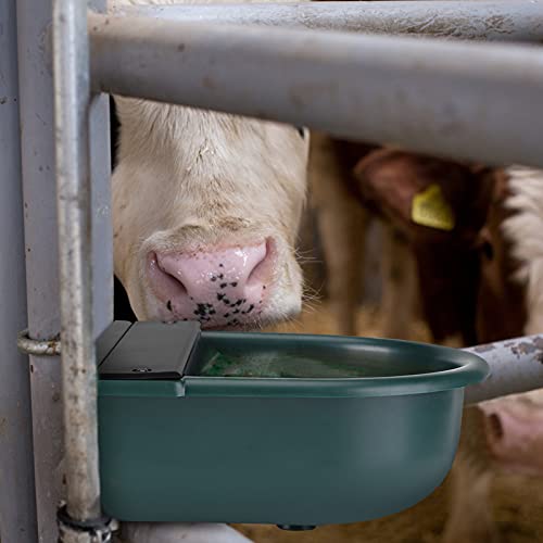 GOTOTOP Automatic Waterer Bowl, Large 4L Automatic Pet Waterer Float Valve Water Trough Livestock Drinking Bowl for Cat Sheep Dog Horse Farm Supplies