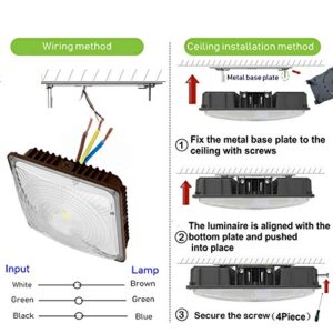 CYLED 65W LED Canopy Light Industrial Waterproof Explosion-Proof Outdoor High Bay Balcony Car Park Lane Gas Station Ceiling Light Equivalent 250W HID/HPS 6500 Lm 5500K DLC Qualified Pack of 2