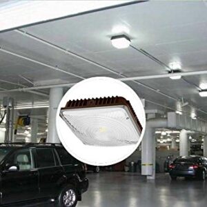 CYLED 65W LED Canopy Light Industrial Waterproof Explosion-Proof Outdoor High Bay Balcony Car Park Lane Gas Station Ceiling Light Equivalent 250W HID/HPS 6500 Lm 5500K DLC Qualified Pack of 2