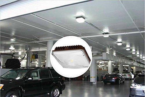 CYLED 65W LED Canopy Light Industrial Waterproof Explosion-Proof Outdoor High Bay Balcony Car Park Lane Gas Station Ceiling Light Equivalent 250W HID/HPS 6500 Lm 5500K DLC Qualified Pack of 2