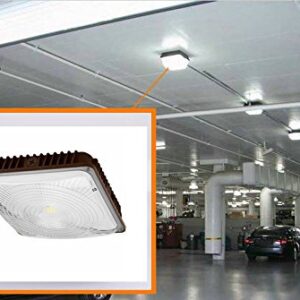 CYLED 65W LED Canopy Light Industrial Waterproof Explosion-Proof Outdoor High Bay Balcony Car Park Lane Gas Station Ceiling Light Equivalent 250W HID/HPS 6500 Lm 5500K DLC Qualified Pack of 2