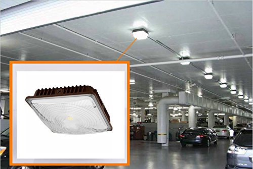 CYLED 65W LED Canopy Light Industrial Waterproof Explosion-Proof Outdoor High Bay Balcony Car Park Lane Gas Station Ceiling Light Equivalent 250W HID/HPS 6500 Lm 5500K DLC Qualified Pack of 2