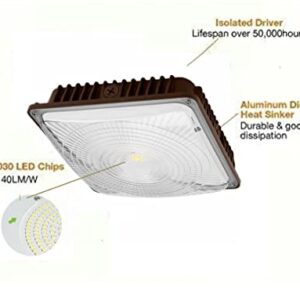 CYLED 65W LED Canopy Light Industrial Waterproof Explosion-Proof Outdoor High Bay Balcony Car Park Lane Gas Station Ceiling Light Equivalent 250W HID/HPS 6500 Lm 5500K DLC Qualified Pack of 2