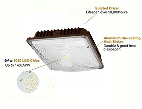 CYLED 65W LED Canopy Light Industrial Waterproof Explosion-Proof Outdoor High Bay Balcony Car Park Lane Gas Station Ceiling Light Equivalent 250W HID/HPS 6500 Lm 5500K DLC Qualified Pack of 2