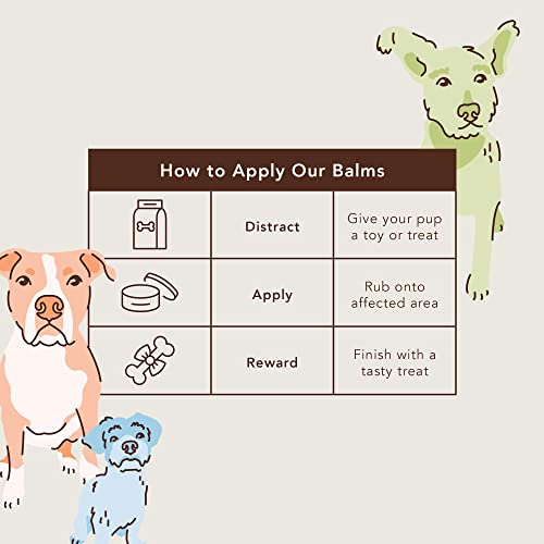 Natural Dog Company PawTection Dog Paw Balm, Protects Paws from Hot Surfaces, Sand, Salt, & Snow, Organic, All Natural Ingredients (0.15 oz Trial Stick)