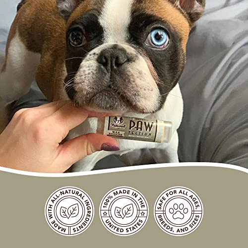 Natural Dog Company PawTection Dog Paw Balm, Protects Paws from Hot Surfaces, Sand, Salt, & Snow, Organic, All Natural Ingredients (0.15 oz Trial Stick)