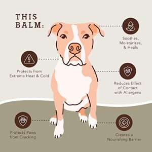 Natural Dog Company PawTection Dog Paw Balm, Protects Paws from Hot Surfaces, Sand, Salt, & Snow, Organic, All Natural Ingredients (0.15 oz Trial Stick)