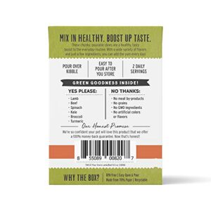 The Honest Kitchen Dogs Superfood POUR OVERS Lamb& beef stew Pack of 12, Pumpkin, 5.5 ounces