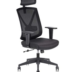 CLATINA Ergonomic High Mesh Swivel Executive Chair with Adjustable Height Head Arm Rest Lumbar Support and Upholstered Back for Home Office