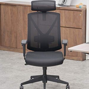 CLATINA Ergonomic High Mesh Swivel Executive Chair with Adjustable Height Head Arm Rest Lumbar Support and Upholstered Back for Home Office