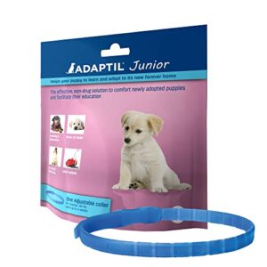 adaptil junior puppy calming pheromone collar