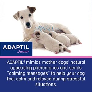 ADAPTIL Junior Puppy Calming Pheromone Collar