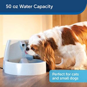 PetSafe Drinkwell Original Dog and Cat Water Fountain, Automatic Drinking Fountain for Pets, 50 oz.