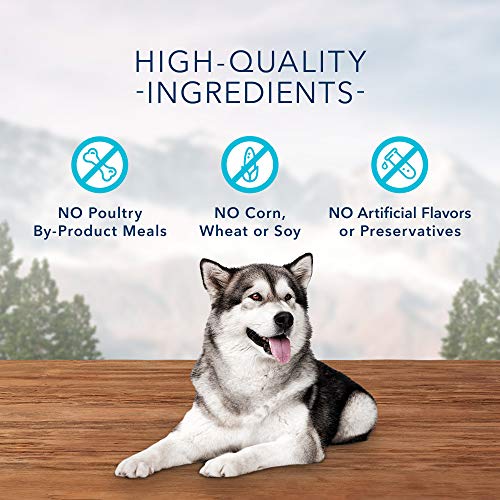 Blue Buffalo Wilderness Trail Treats High Protein Grain Free Crunchy Dog Treats Biscuits, Salmon Recipe 24-oz Bag