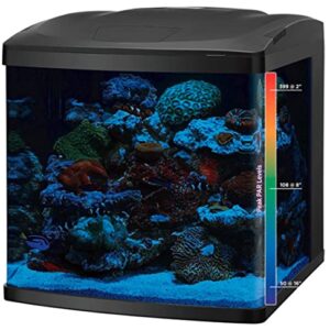 Biocube LED Tanks and Combo Kits (32 Gallon Tank/Stand Kit)