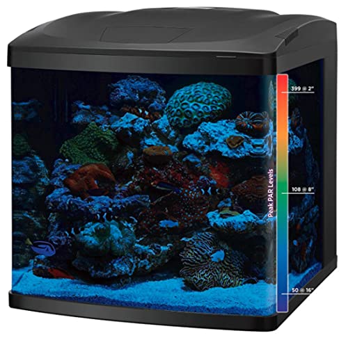 Biocube LED Tanks and Combo Kits (32 Gallon Tank/Stand Kit)