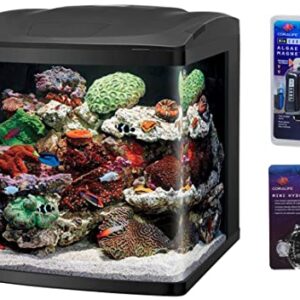 Biocube LED Tanks and Combo Kits (32 Gallon Tank/Stand Kit)