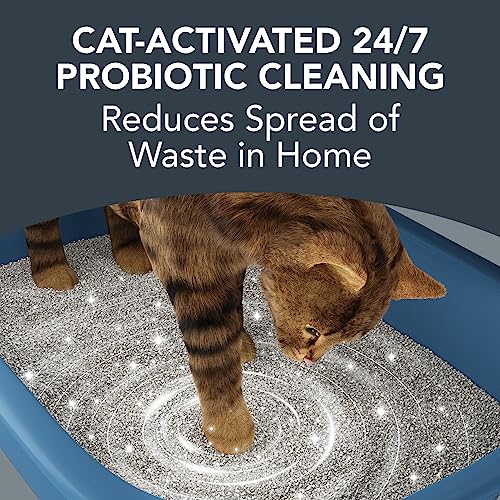 BoxiePro Deep Clean Probiotic Clumping Clay Cat Litter -Scent Free- 28 lb- Cat Activated Probiotics- Longer Lasting Odor Control, Stays Ultra Clean, 99.9% Dust Free