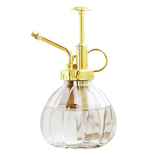 Plant Mister, 6.5" Tall Decorative Glass Water Spray Bottle with Gold Top Pump Small Watering Can by Ebristar - Clear