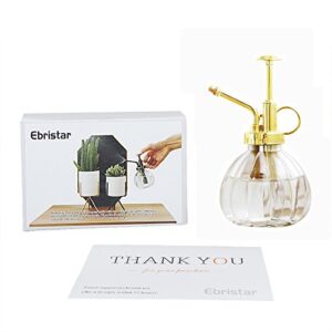 Plant Mister, 6.5" Tall Decorative Glass Water Spray Bottle with Gold Top Pump Small Watering Can by Ebristar - Clear