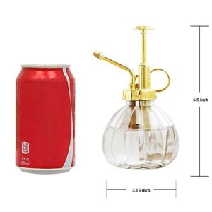 Plant Mister, 6.5" Tall Decorative Glass Water Spray Bottle with Gold Top Pump Small Watering Can by Ebristar - Clear