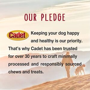 Cadet Gourmet Triple Chews Pork Hide, Apple, & Duck Dog Treats - Healthy Dog Treats for Small & Large Dogs - Inspected & Tested in USA (6 Count)