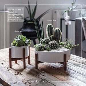 kimisty 10 Inch Succulent Planter, Large Round Bowl with Drainage, Mid Century White Ceramic Pot with Wood Stand, Succulent Garden Shallow Pot, Tabletop Centrepiece, Includes Gift Pack