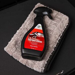 nextzett Perfect Shine German Polymer Detail Spray - Cleans - Shines - Protects, 16.9 Ounces