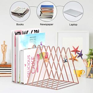Files Folder Stand Desktop File Organizer, Triangle Wire Magazine Holder Book Shelf, 9 Slot File Sorter Eye-catching Decoration for Indoor Office Home, Photography Props, Fashion in INS (Rose Gold)
