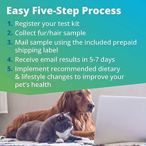 5Strands Pet Food and Environmental Intolerance Test, at Home Sensitivity Test for Dogs & Cats, Hair Sample Collection Kit, 380 Items Tested, Results in 7 Days, Works for All Ages and Breeds