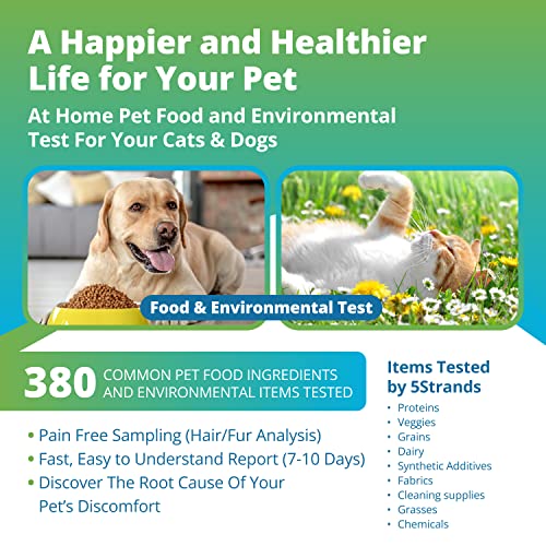 5Strands Pet Food and Environmental Intolerance Test, at Home Sensitivity Test for Dogs & Cats, Hair Sample Collection Kit, 380 Items Tested, Results in 7 Days, Works for All Ages and Breeds