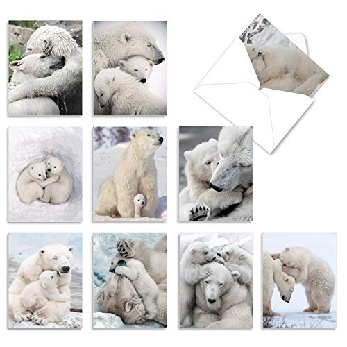 The Best Card Company - 10 Assorted Blank All Occasions Notes Box Set 4 x 5.12 Inch with Envelopes (10 Designs, 1 Each) Boxed Assorted Kid Cards of Pets - Bear Hugs AM6327OCB-B1x10