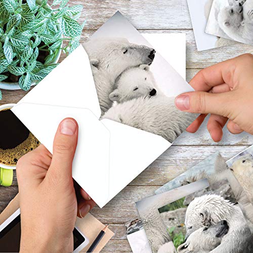 The Best Card Company - 10 Assorted Blank All Occasions Notes Box Set 4 x 5.12 Inch with Envelopes (10 Designs, 1 Each) Boxed Assorted Kid Cards of Pets - Bear Hugs AM6327OCB-B1x10
