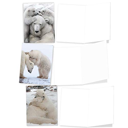 The Best Card Company - 10 Assorted Blank All Occasions Notes Box Set 4 x 5.12 Inch with Envelopes (10 Designs, 1 Each) Boxed Assorted Kid Cards of Pets - Bear Hugs AM6327OCB-B1x10