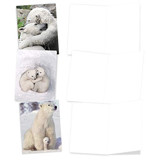 The Best Card Company - 10 Assorted Blank All Occasions Notes Box Set 4 x 5.12 Inch with Envelopes (10 Designs, 1 Each) Boxed Assorted Kid Cards of Pets - Bear Hugs AM6327OCB-B1x10