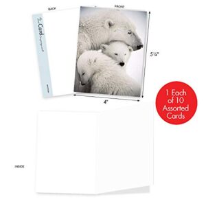 The Best Card Company - 10 Assorted Blank All Occasions Notes Box Set 4 x 5.12 Inch with Envelopes (10 Designs, 1 Each) Boxed Assorted Kid Cards of Pets - Bear Hugs AM6327OCB-B1x10